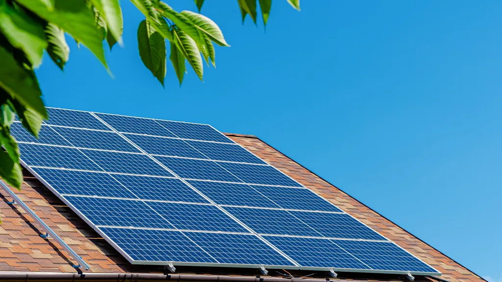 Rooftop solar array under a clear blue sky, framed by leaves